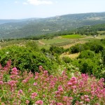 View from belvedere Saignon