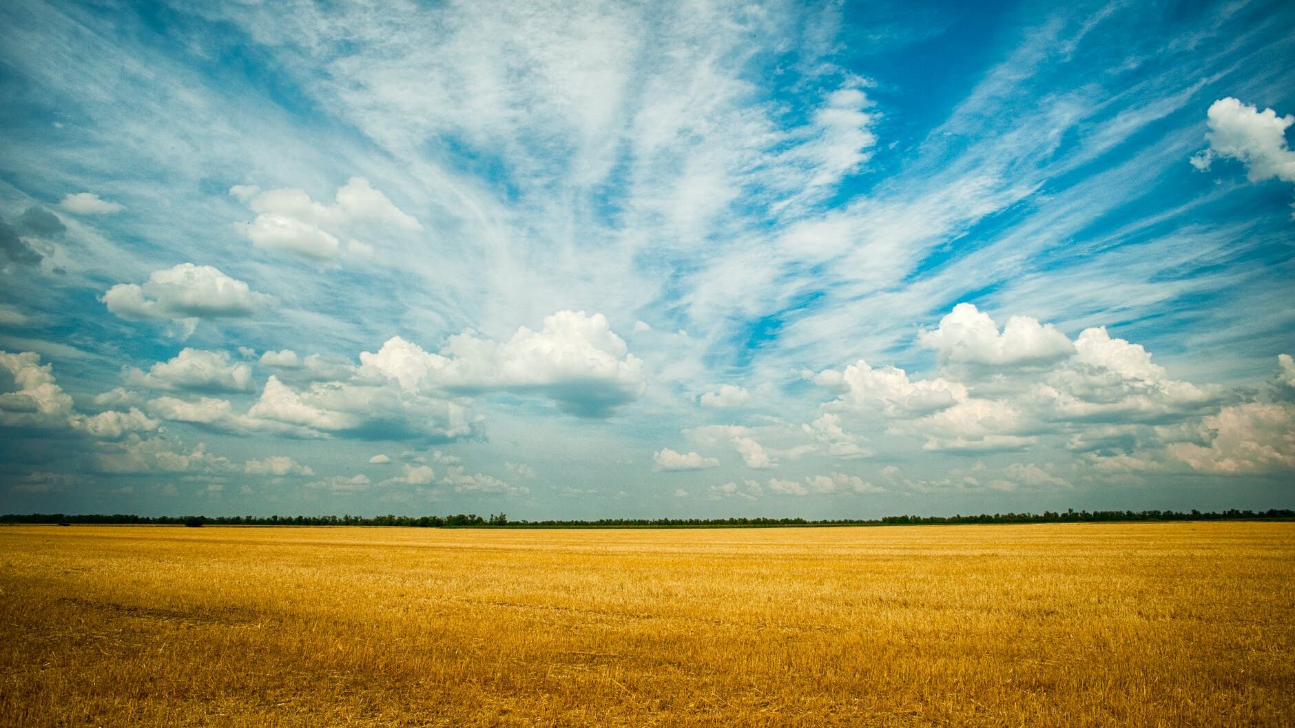 photo of grass field