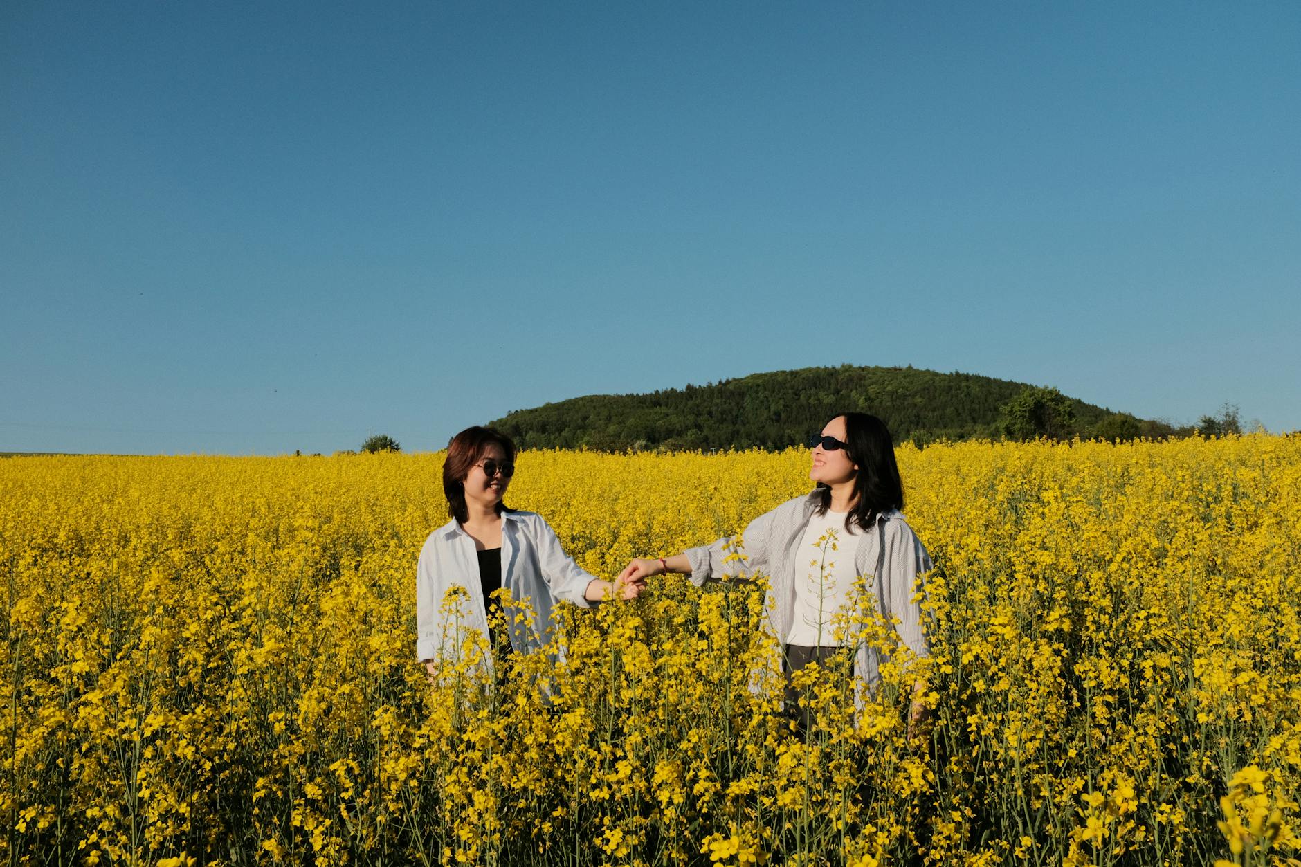 two women in a field of blooming rapeseed flowers